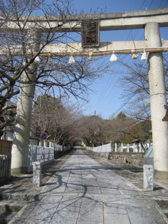 f:id:lalakoora:20090321101052j:image