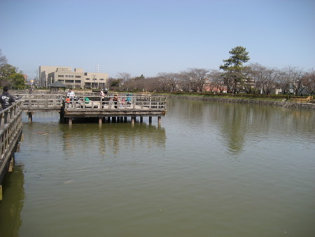 f:id:lalakoora:20090321112828j:image