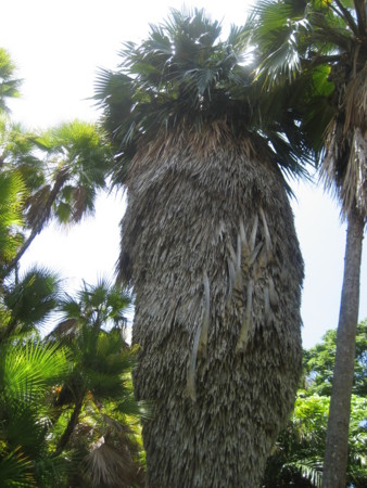 20090504054602