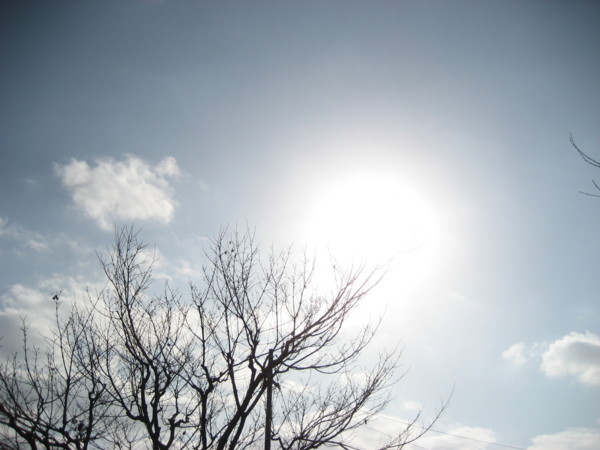 f:id:lalakoora:20091227120140j:image