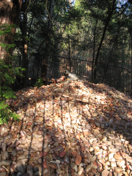 f:id:lalakoora:20091227152338j:image