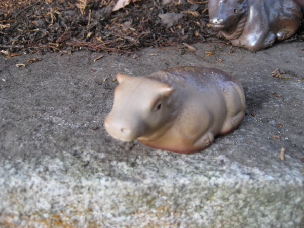 f:id:lalakoora:20091227152623j:image