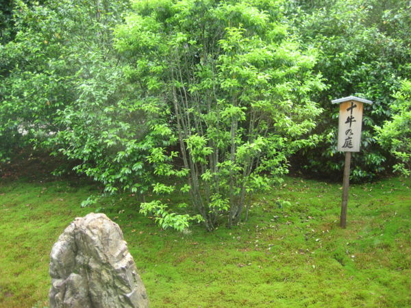 f:id:lalakoora:20100522134902j:image f:id:lalakoora:20100522134902j:image