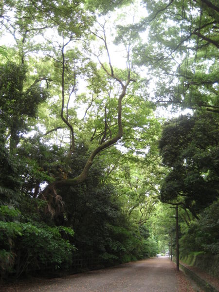 f:id:lalakoora:20100522145104j:image f:id:lalakoora:20100522145104j:image