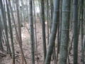 20120401103225