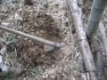 20120401104823