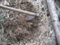 20120401104826