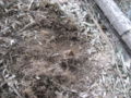 20120401104829