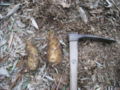 20120401111002