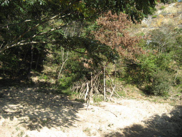 20121021121406