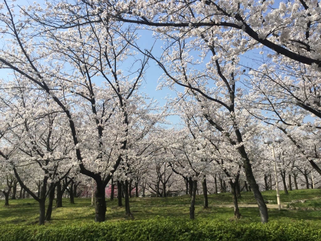 f:id:lalalashige:20180329183045j:plain f:id:lalalashige:20180329183045j:plain