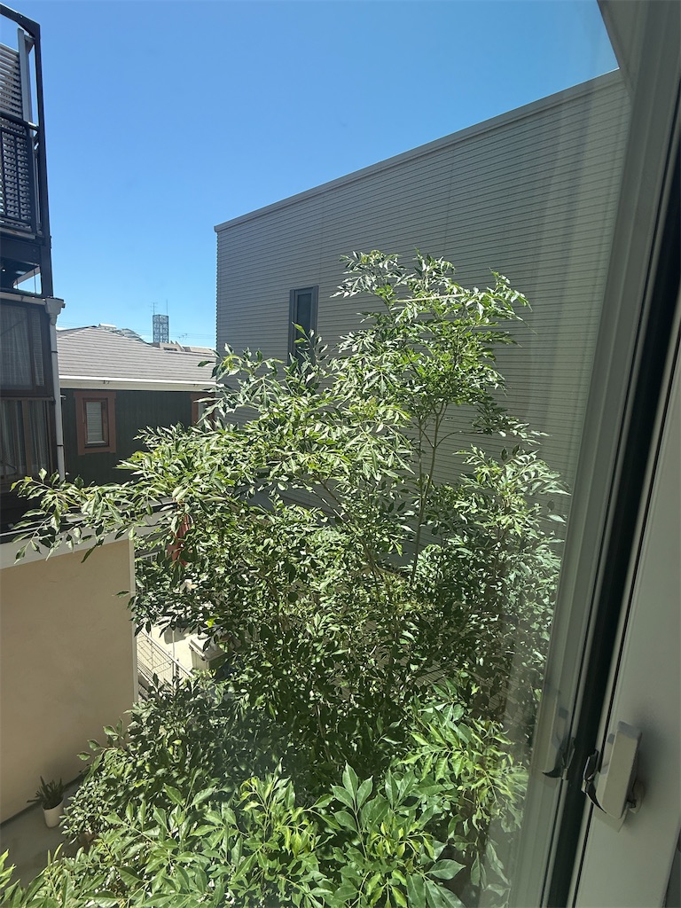 f:id:lalalayukiki:20250720173525j:image