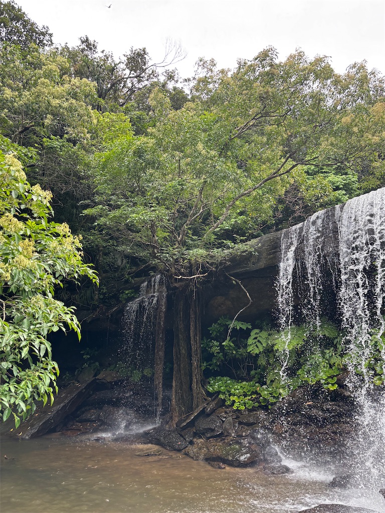 f:id:lalalayukiki:20250721225621j:image