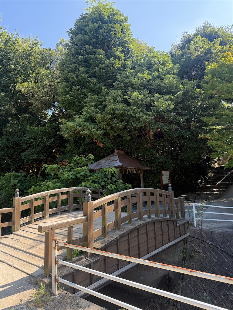 f:id:lalalayukiki:20260806103858j:image