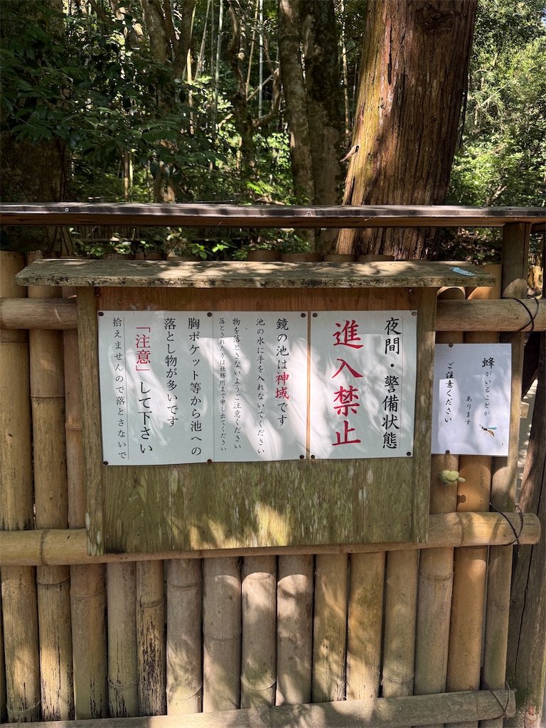 f:id:lalalayukiki:20260806171507j:image