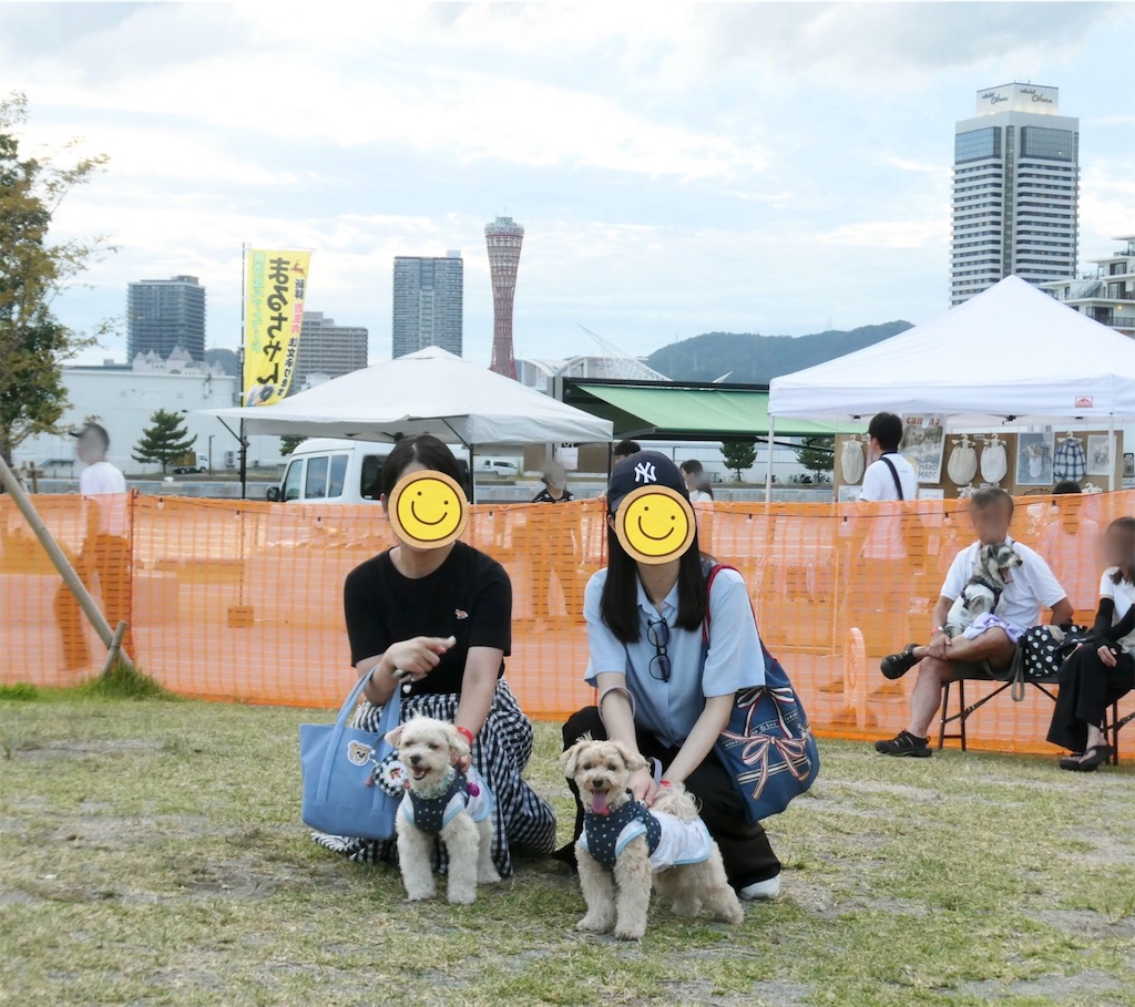 f:id:lalalayukiki:20260816211444j:image