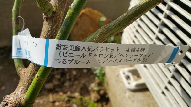 f:id:lalanoniwa:20200402073157j:plain f:id:lalanoniwa:20200402073157j:plain
