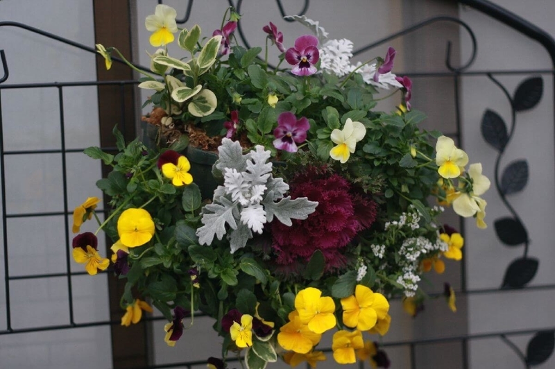 f:id:lalanoniwa:20200414120243j:plain f:id:lalanoniwa:20200414120243j:plain