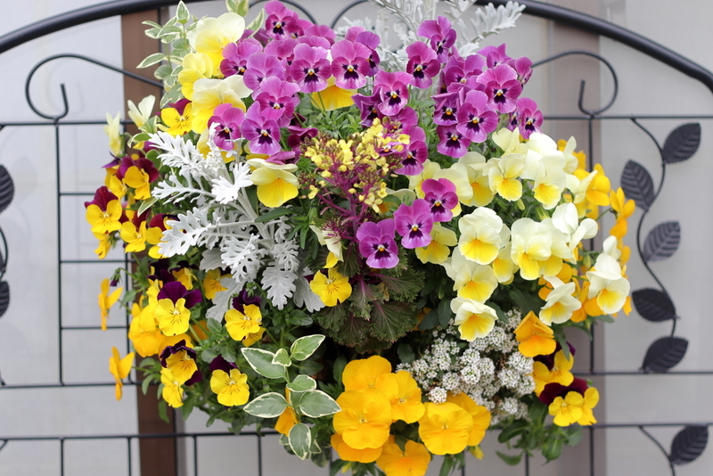 f:id:lalanoniwa:20200416151658j:plain