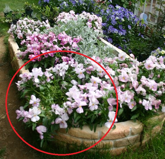 f:id:lalanoniwa:20200425181151j:plain f:id:lalanoniwa:20200425181151j:plain