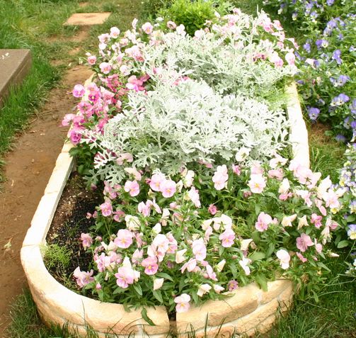 f:id:lalanoniwa:20200425181155j:plain f:id:lalanoniwa:20200425181155j:plain