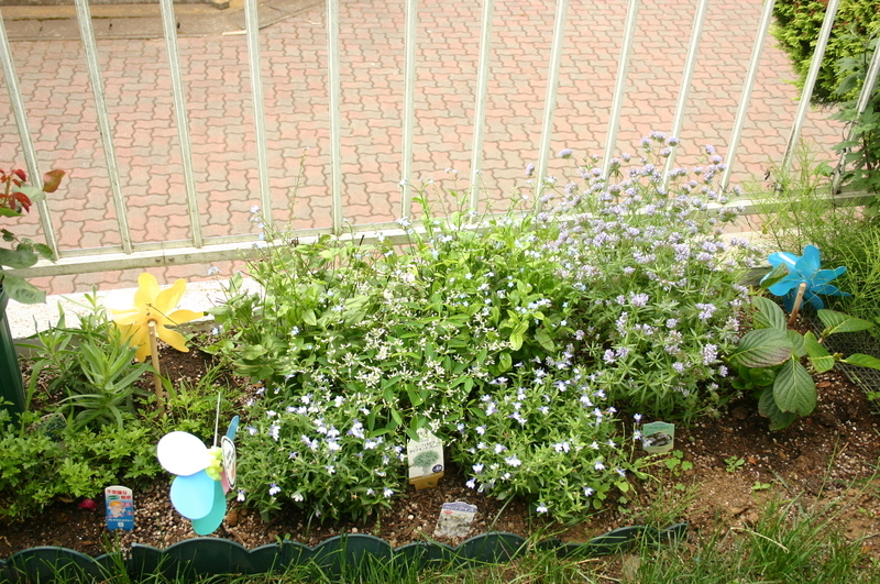 f:id:lalanoniwa:20200510165221j:plain f:id:lalanoniwa:20200510165221j:plain