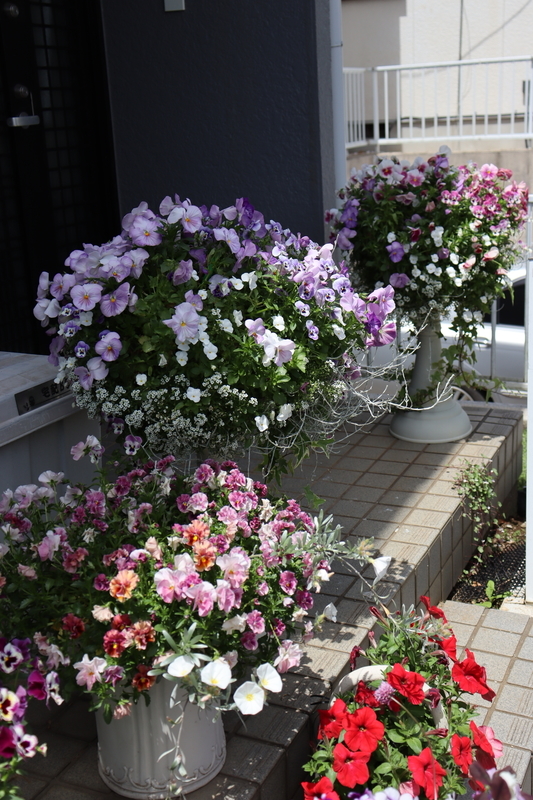 f:id:lalanoniwa:20200513120959j:plain f:id:lalanoniwa:20200513120959j:plain