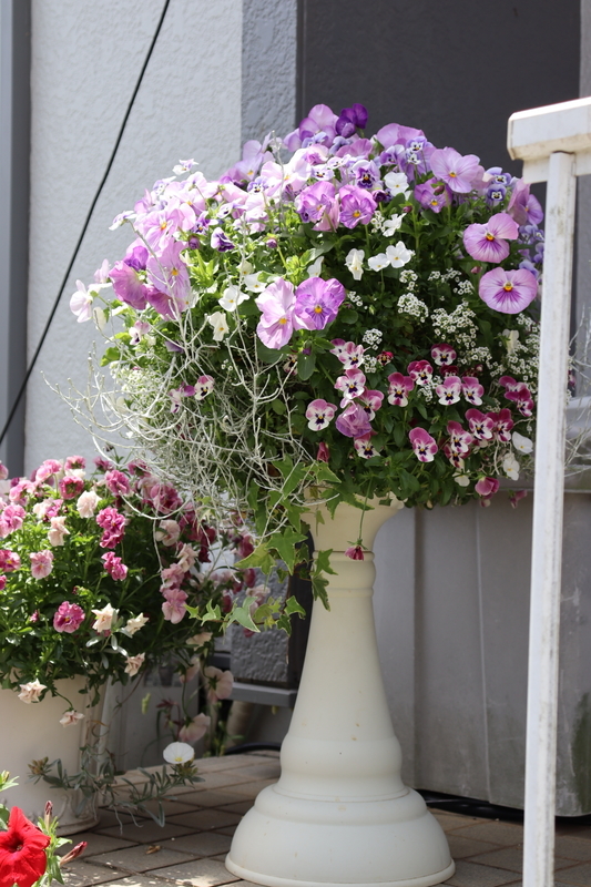 f:id:lalanoniwa:20200513121115j:plain f:id:lalanoniwa:20200513121115j:plain