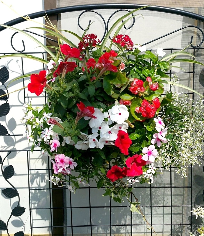 f:id:lalanoniwa:20200516112908j:plain f:id:lalanoniwa:20200516112908j:plain