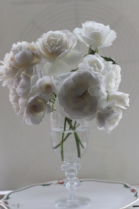 f:id:lalanoniwa:20200517185903j:plain f:id:lalanoniwa:20200517185903j:plain