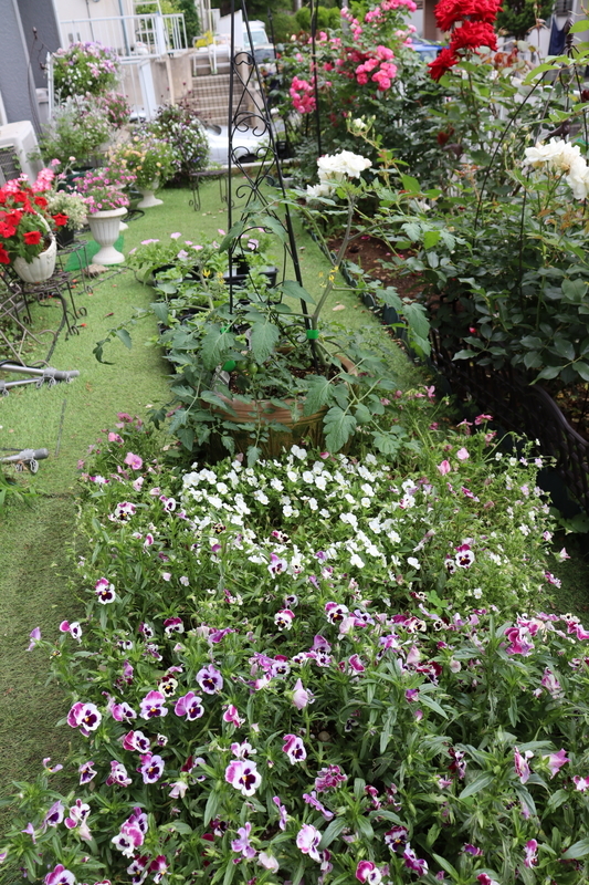 f:id:lalanoniwa:20200602110437j:plain f:id:lalanoniwa:20200602110437j:plain