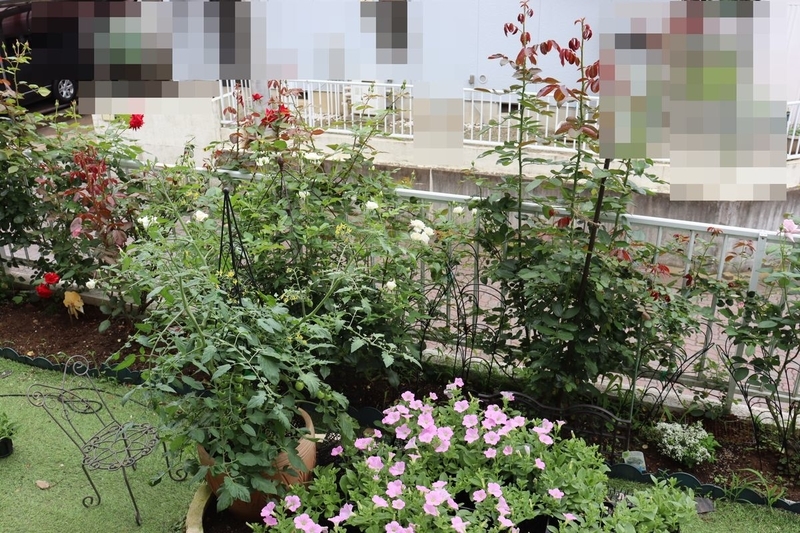 f:id:lalanoniwa:20200624130511j:plain f:id:lalanoniwa:20200624130511j:plain