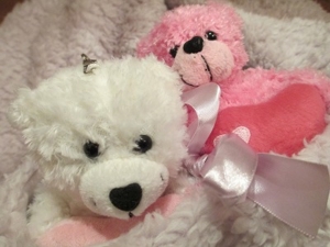 f:id:lalavarie:20130105211806j:image f:id:lalavarie:20130105211806j:image