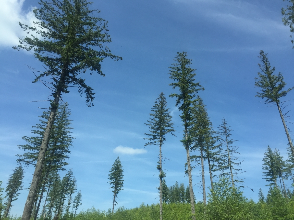 f:id:lalifetravellover:20190604164953j:plain f:id:lalifetravellover:20190604164953j:plain
