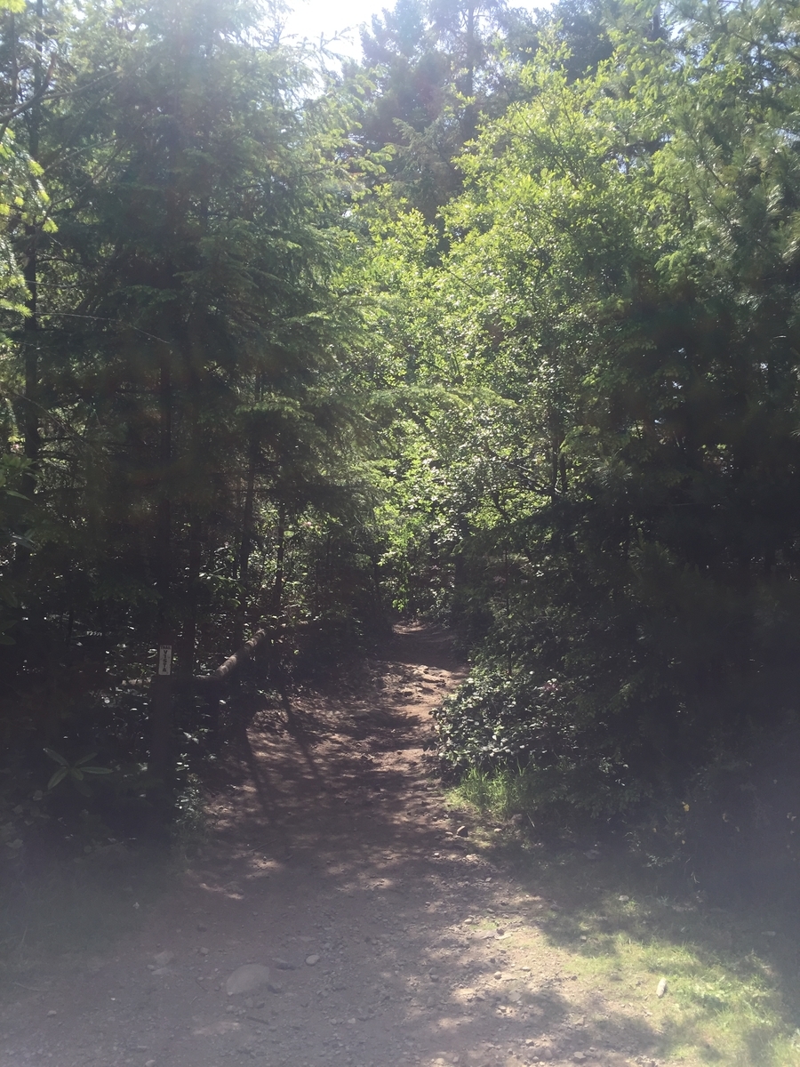 f:id:lalifetravellover:20190604165302j:plain f:id:lalifetravellover:20190604165302j:plain