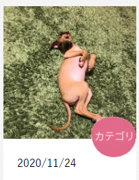 f:id:lalune_webdedign:20210102121109p:plain