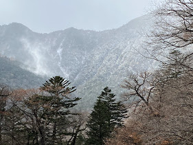 f:id:lamabird:20201111090802j:plain f:id:lamabird:20201111090802j:plain