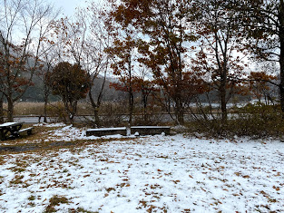 f:id:lamabird:20201111090824j:plain f:id:lamabird:20201111090824j:plain
