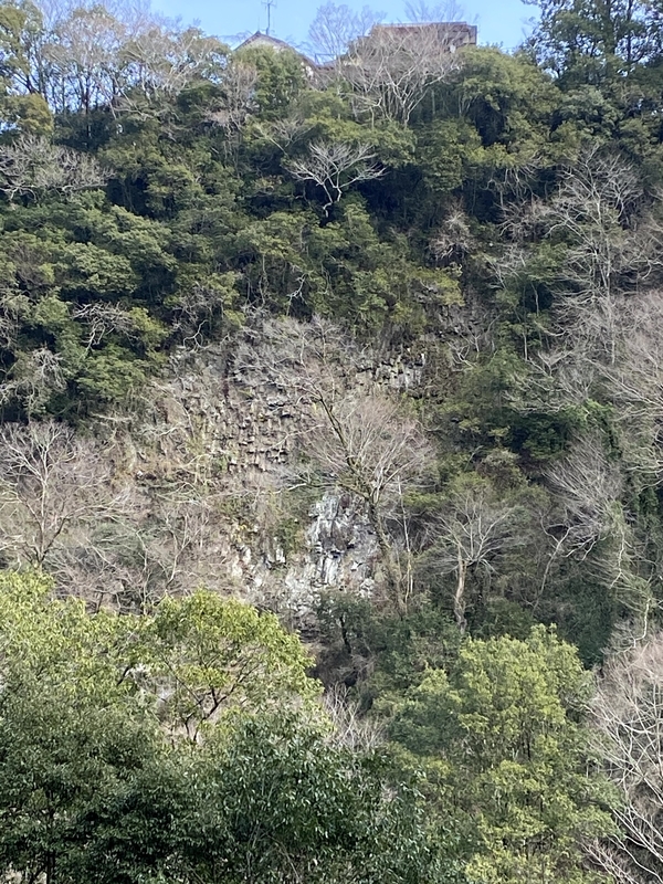 f:id:lamabird:20210202200320j:plain