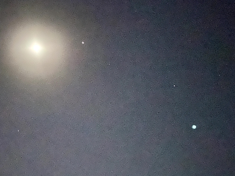 f:id:lamabird:20210727133334j:plain