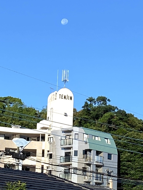 f:id:lamabird:20210727134632j:plain