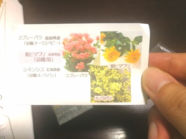 f:id:lambdaty:20200711145258j:plain f:id:lambdaty:20200711145258j:plain