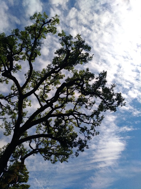 f:id:lambj:20191107110611j:image