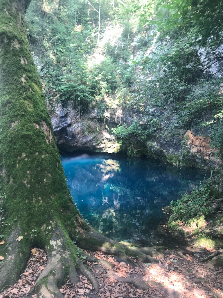 f:id:lamiavita:20210814234751j:image