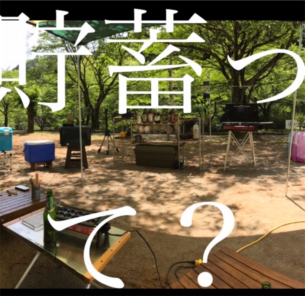 f:id:lan_cama:20190521133405j:image
