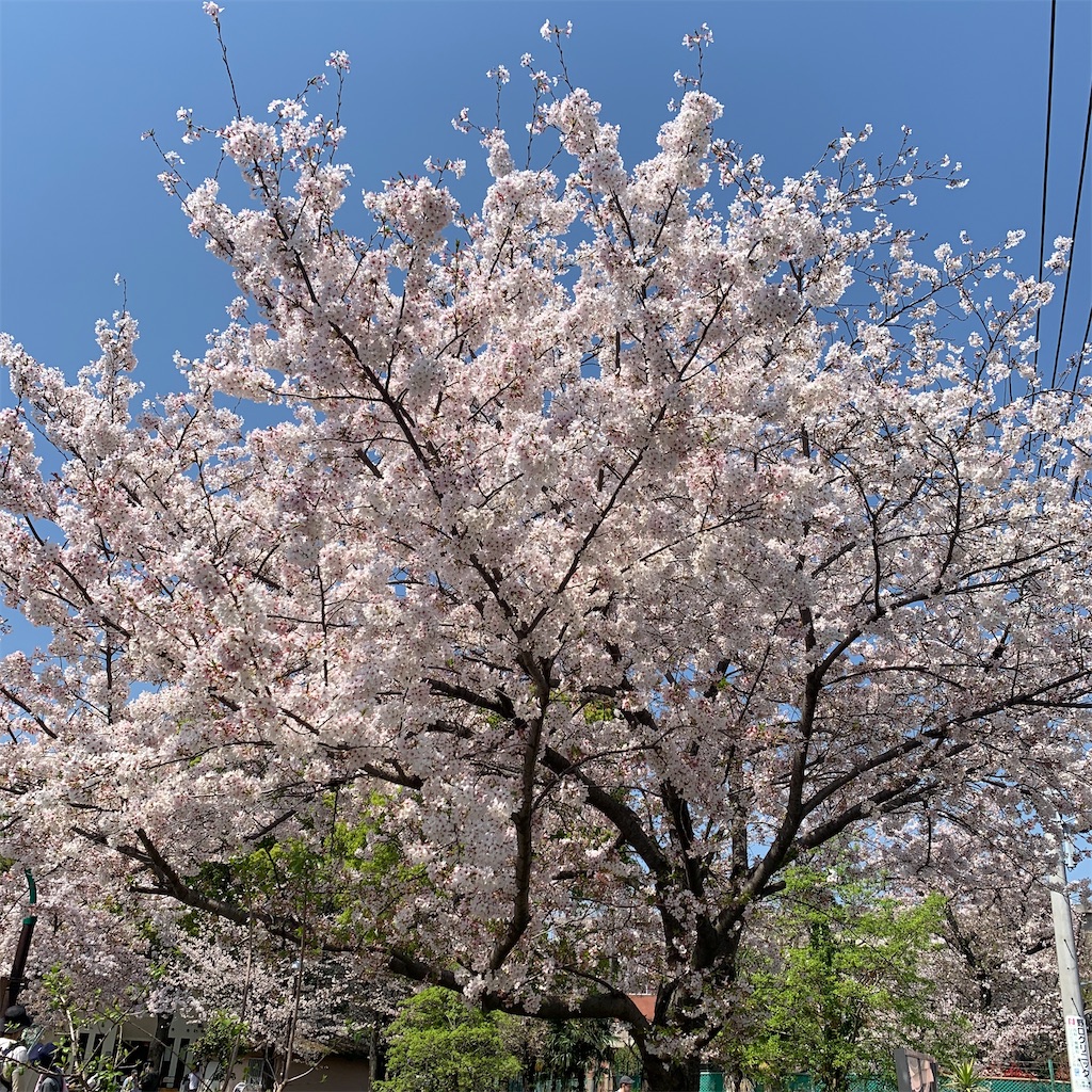 f:id:landbean:20230402104731j:image
