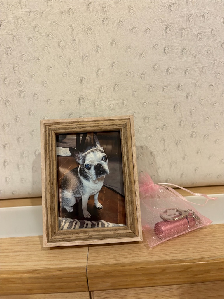 f:id:landbean:20250807135421j:image