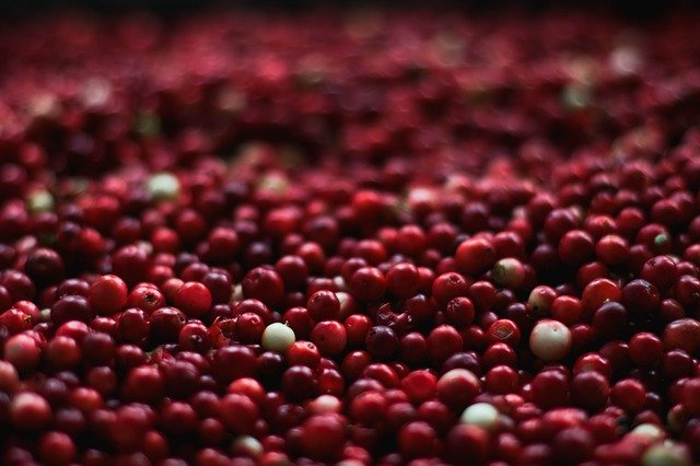 cranberries