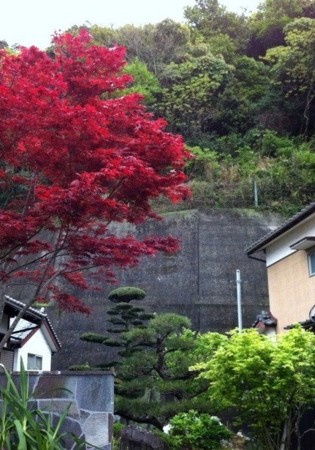 f:id:landisozaki:20120420145126j:image f:id:landisozaki:20120420145126j:image