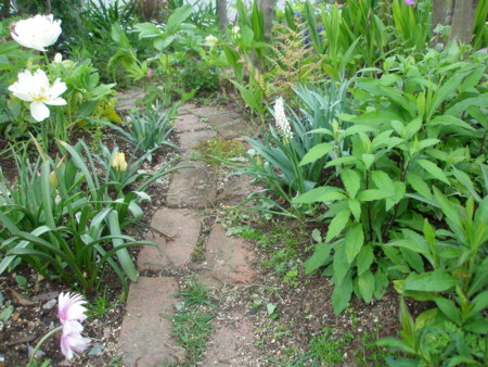 f:id:landisozaki:20120421154135j:image f:id:landisozaki:20120421154135j:image